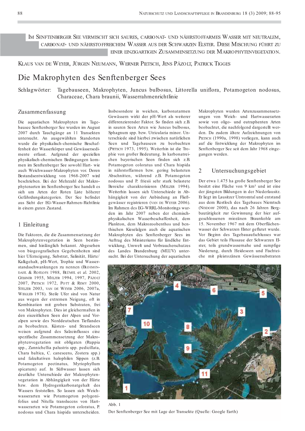 Die Makrophyten Des Senftenberger Sees