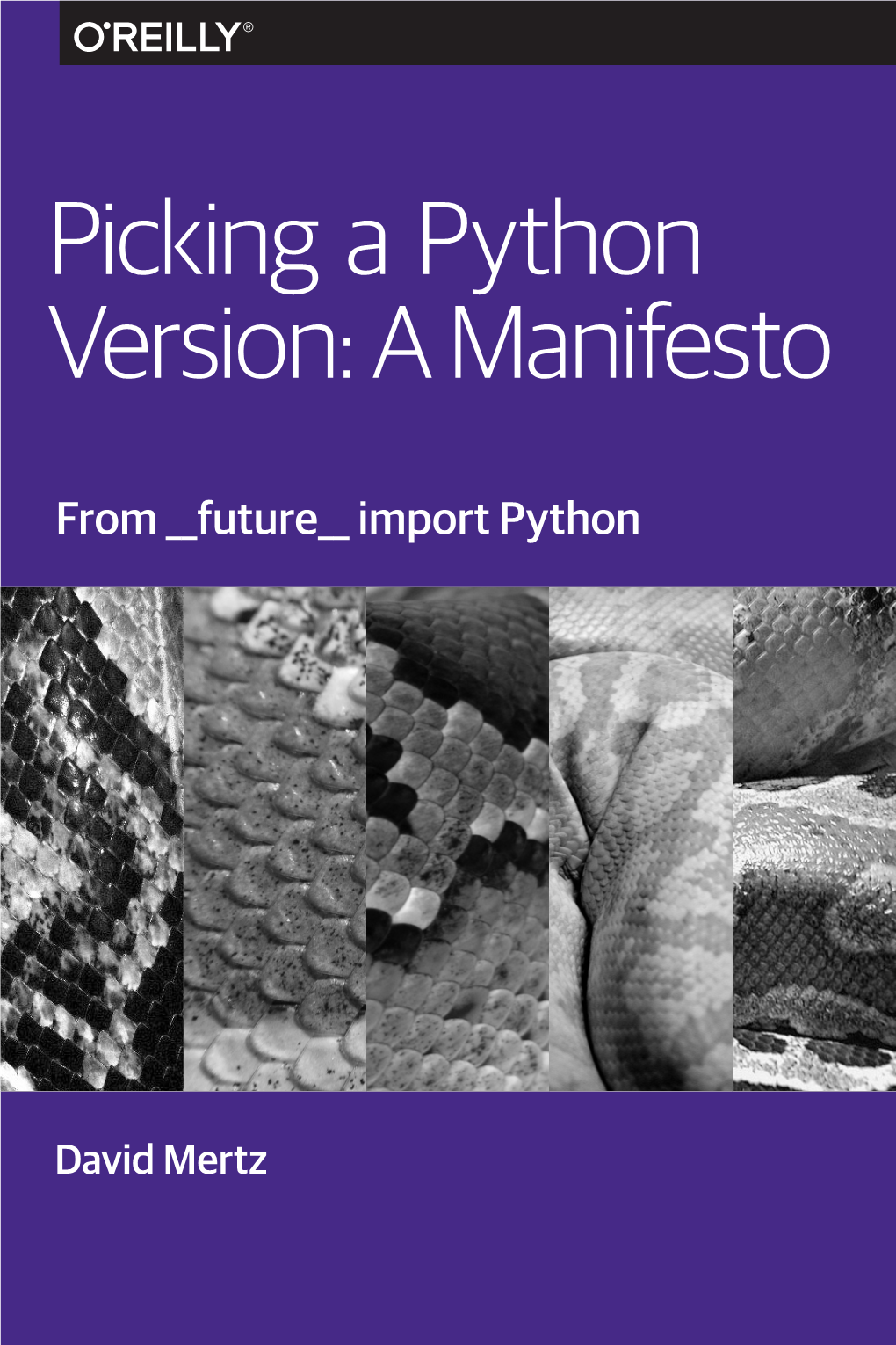 Picking a Python Version: a Manifesto