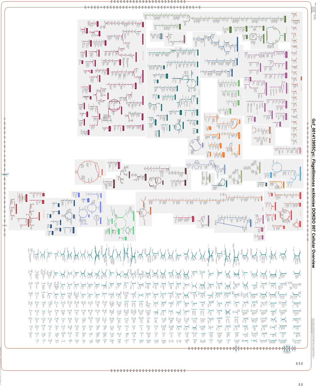 Generated by SRI International Pathway Tools Version 25.0, Authors S