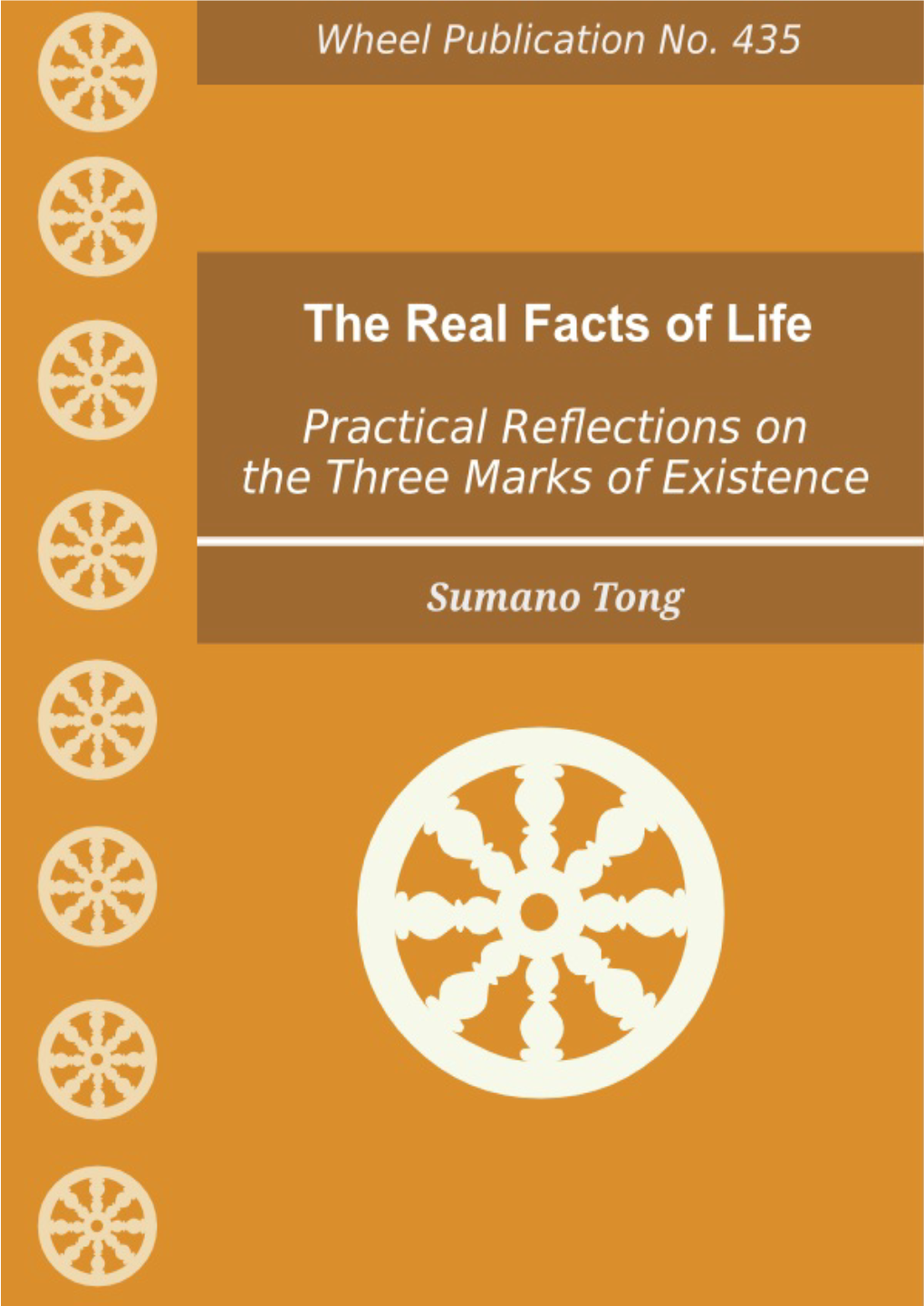 Practical Reflections on the Three Marks of Existence