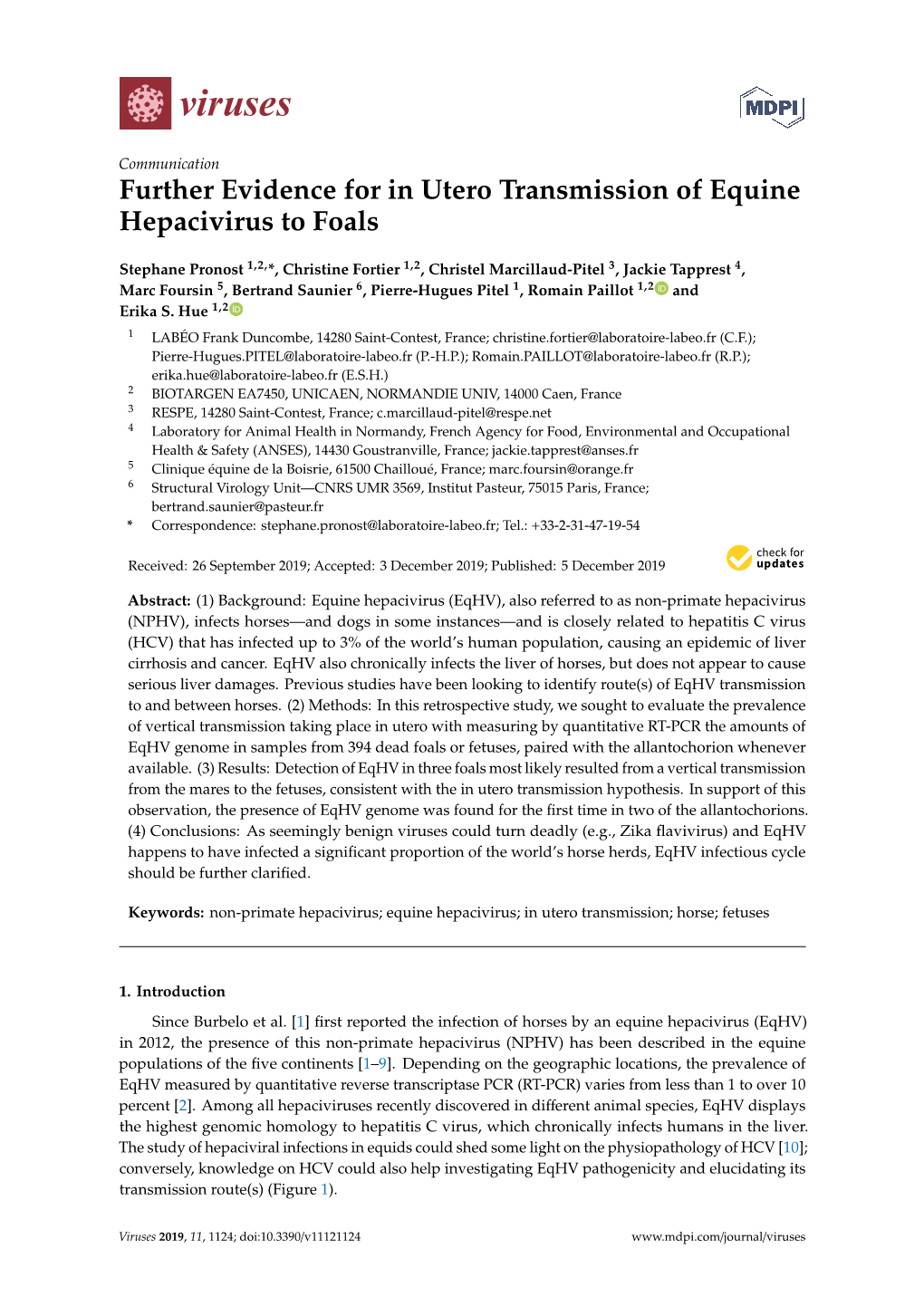 Further Evidence for in Utero Transmission of Equine Hepacivirus to Foals