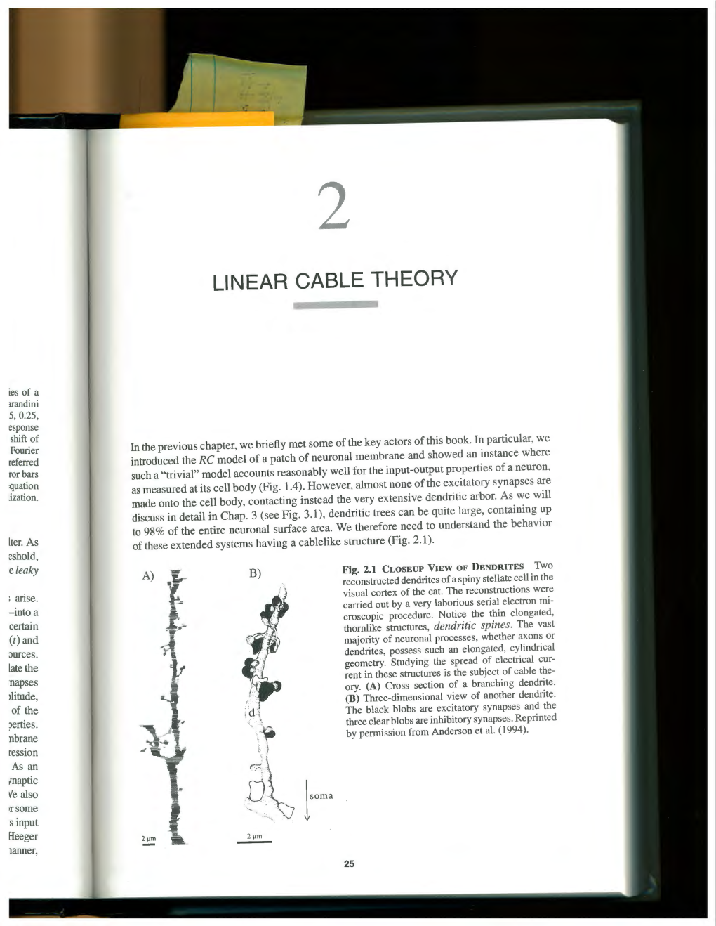 Linear Cable Theory