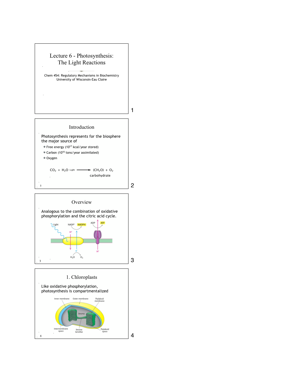 Lecture 6 - Photosynthesis: the Light Reactions