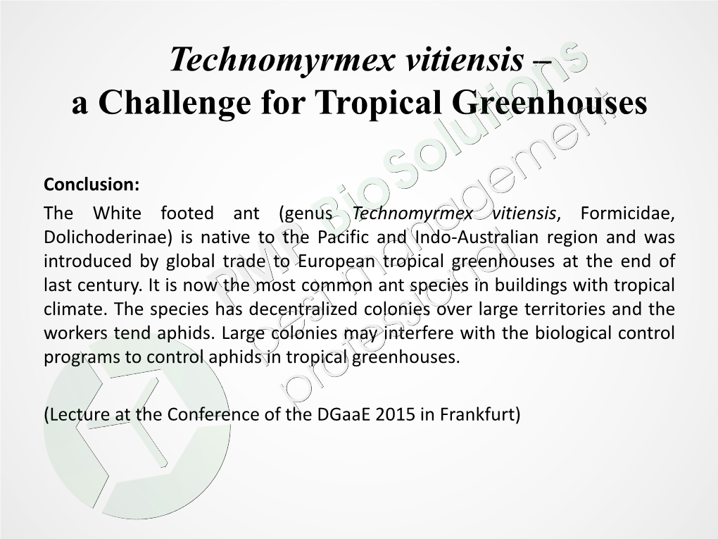 Technomyrmex Vitiensis – a Challenge for Tropical Greenhouses