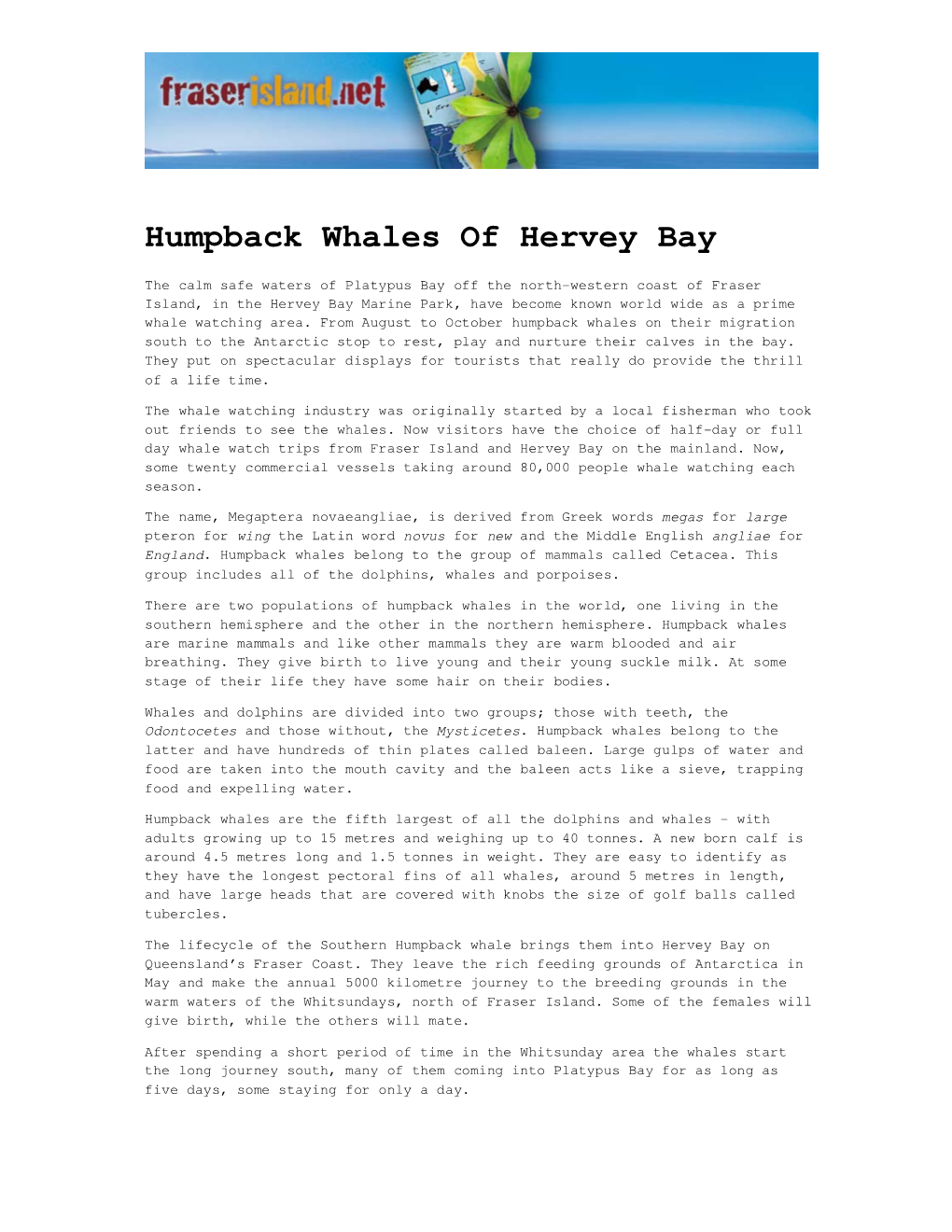 Humpback Whales of Hervey Bay