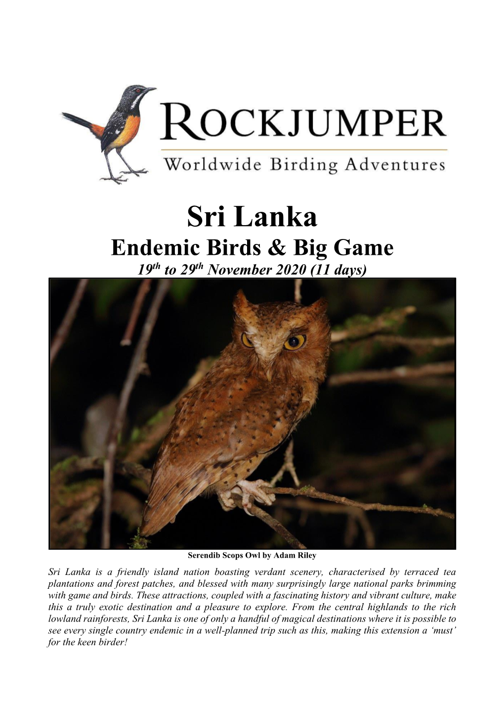 Sri Lanka Endemic Birds & Big Game 19Th to 29Th November 2020 (11 Days)