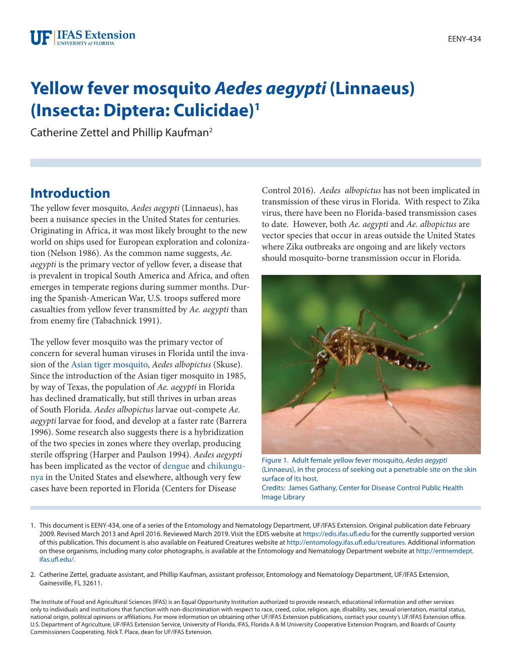 Yellow Fever Mosquito Aedes Aegypti (Linnaeus) (Insecta: Diptera: Culicidae)1 Catherine Zettel and Phillip Kaufman2