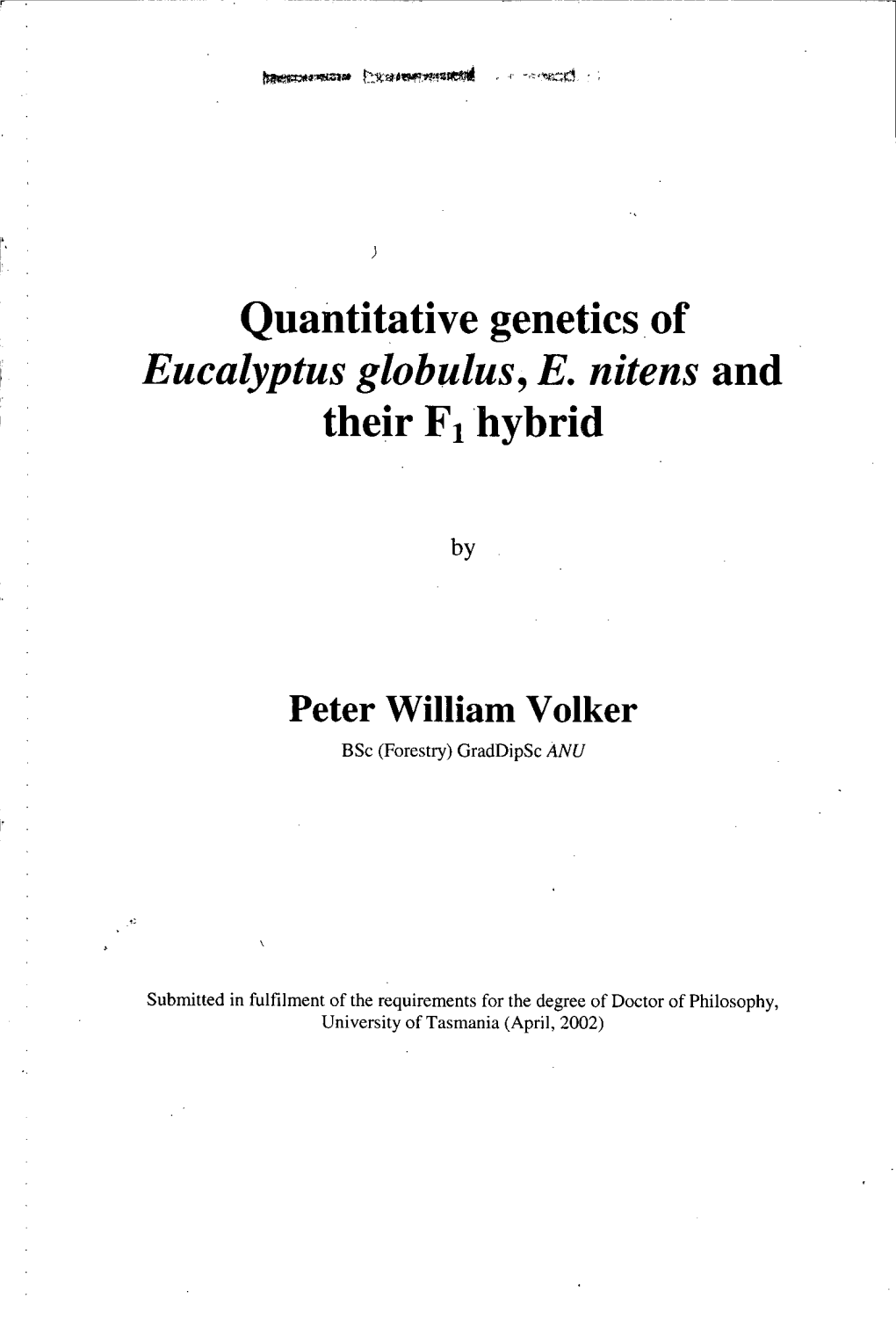 Quantitative Genetics. of Eucalyptus Globulus, E. Nitens and Their F1 'Hybrid