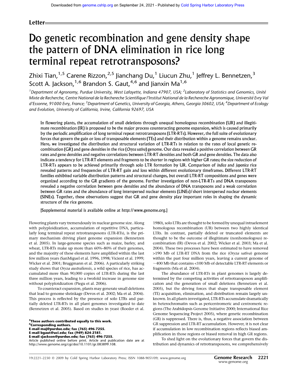 Do Genetic Recombination and Gene Density Shape the Pattern of DNA Elimination in Rice Long Terminal Repeat Retrotransposons?