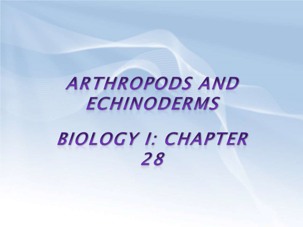 Arthropods • Malpighian Tubules: Sac-Like Organ That Extracts Wastes from the Blood and Adds Them to Feces That Move Through the Gut