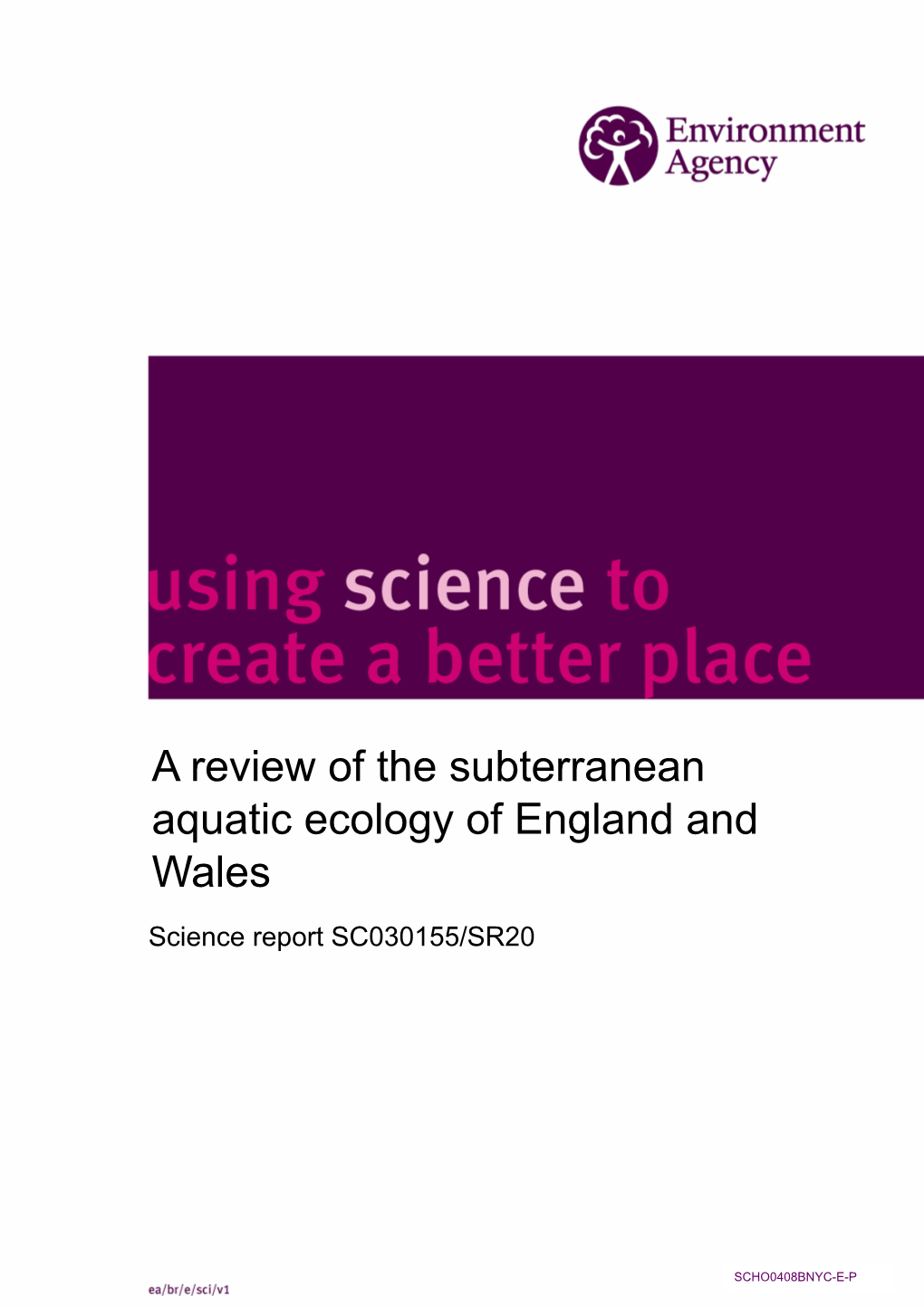 A Review of the Subterranean Aquatic Ecology of England and Wales