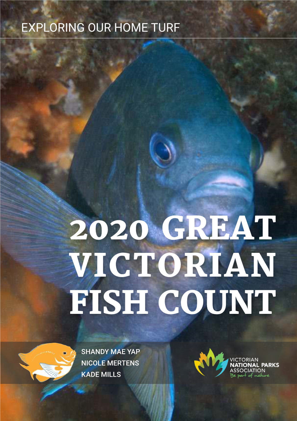 2020 Great Victorian Fish Count