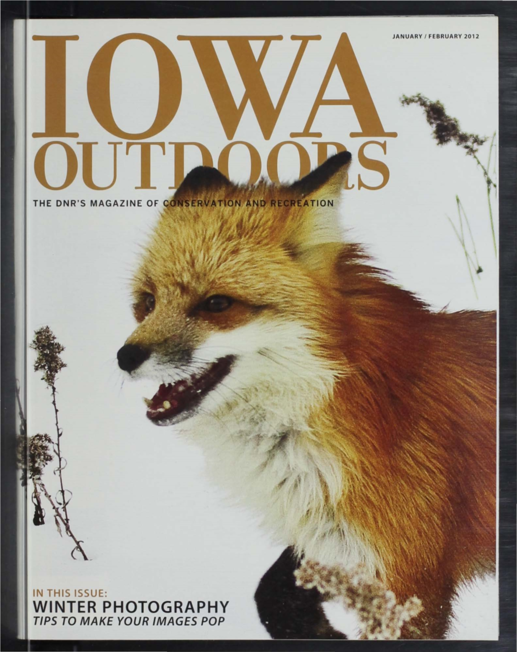 WINTER PHOTOGRAPHY TIPS to MAKE YOUR IMAGES POP STATE LIBRARY OP IOWA 1111 E Grand•· D£~ Lt\QIMES, La 50319