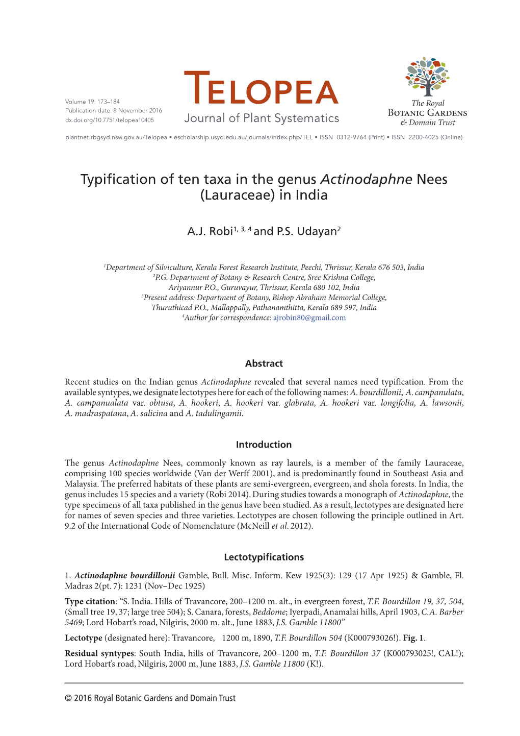 Actinodaphne Nees (Lauraceae) in India