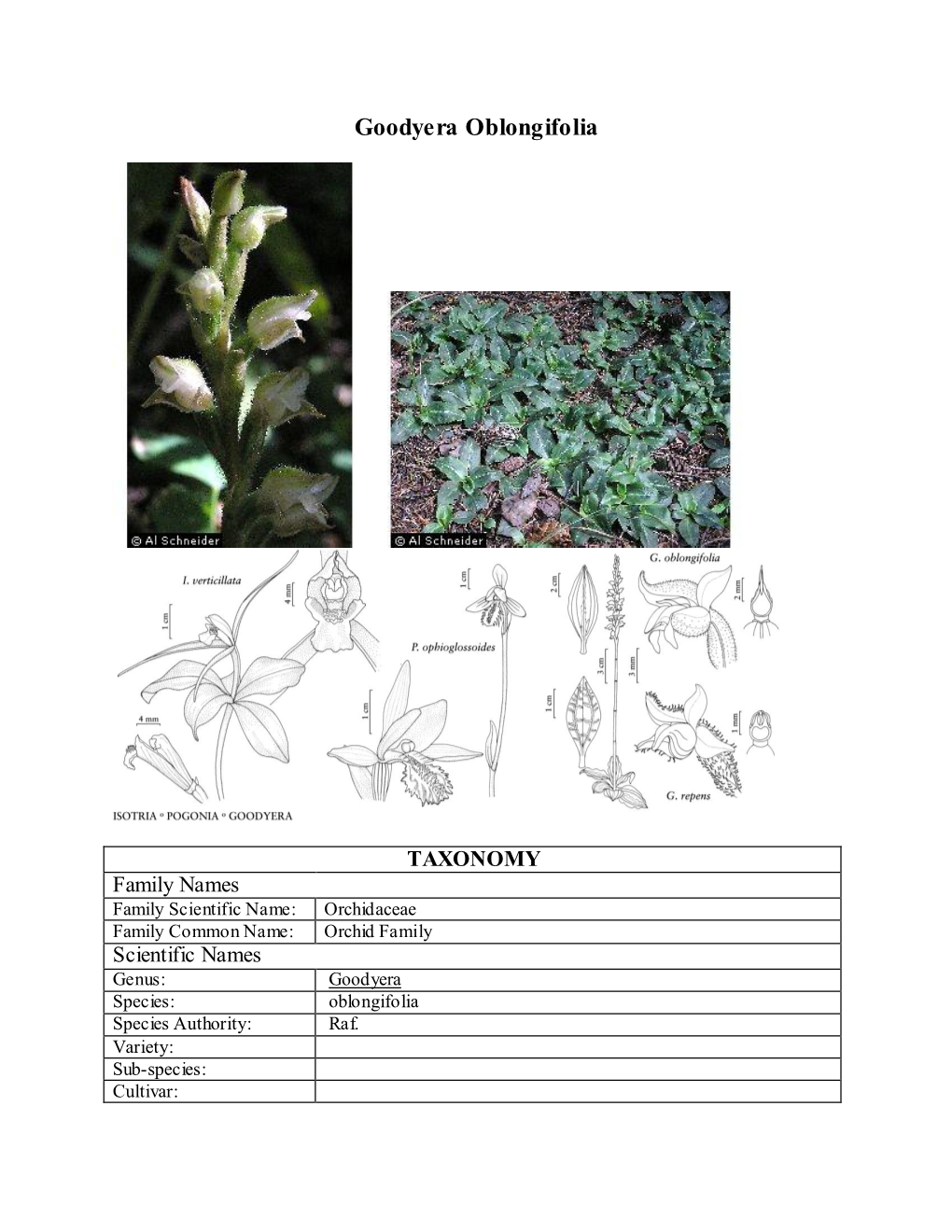 Draft Plant Propagation Protocol