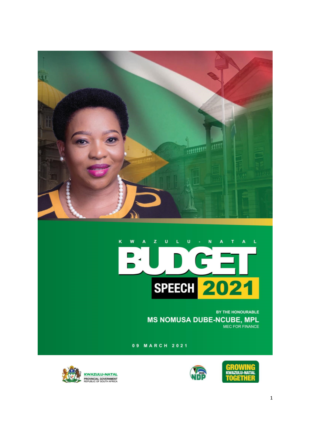 Delivery Budget Speech
