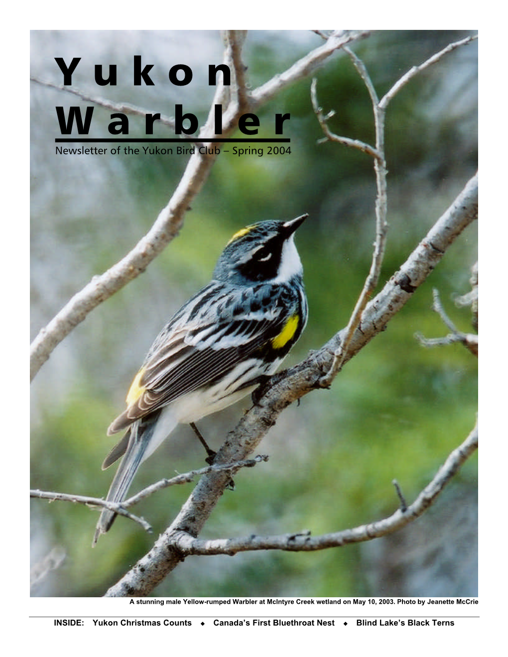 Warbler 2004 Spring