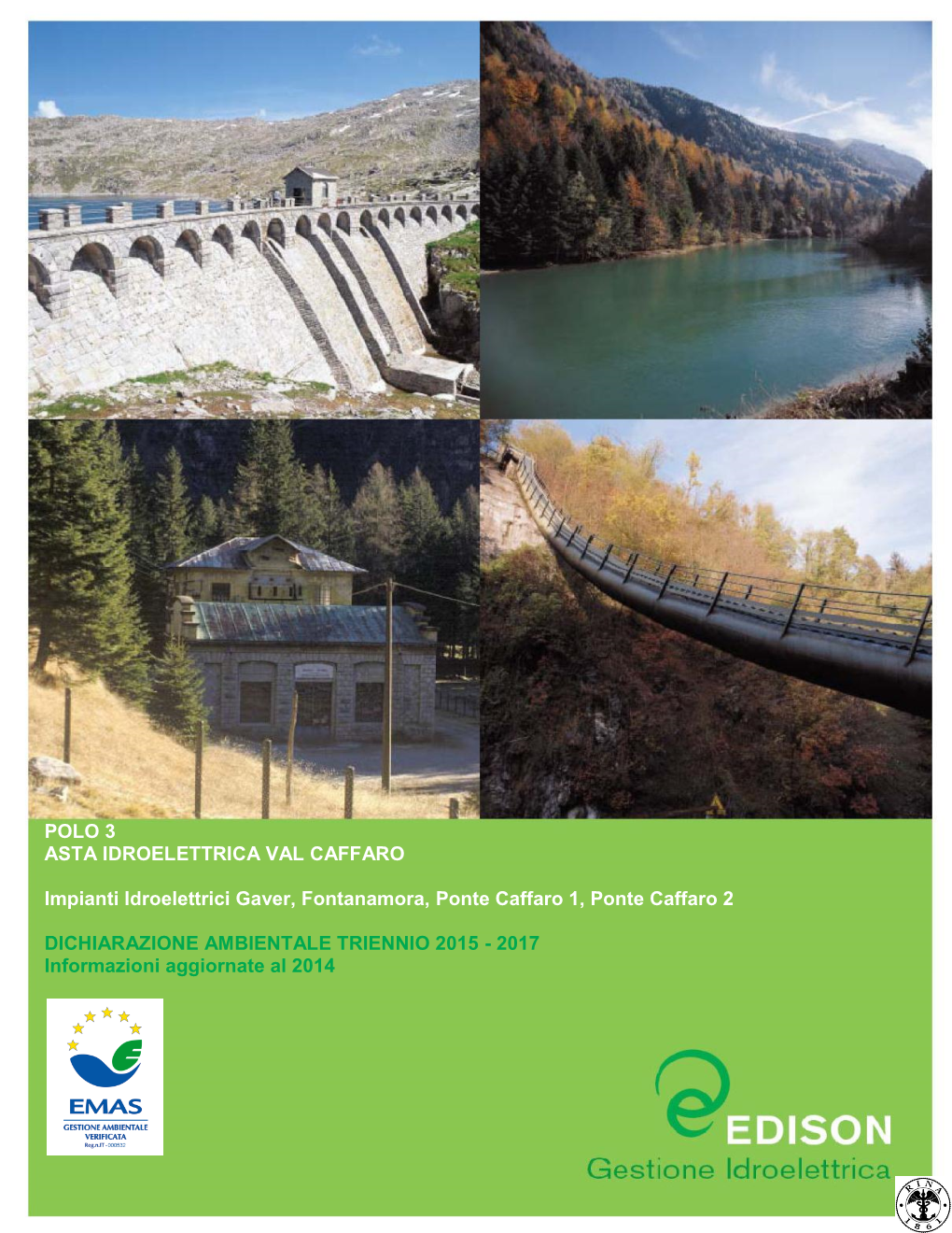 POLO 3 ASTA IDROELETTRICA VAL CAFFARO Impianti Idroelettrici Gaver, Fontanamora, Ponte Caffaro 1, Ponte Caffaro 2 DICHIARAZIONE