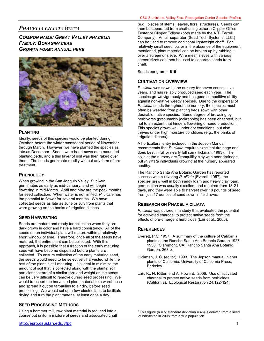 PHACELIA CILIATA BENTH Then Be Separated from Chaff Using Either a Clipper Office Tester Or Clipper Eclipse (Both Made by the A.T