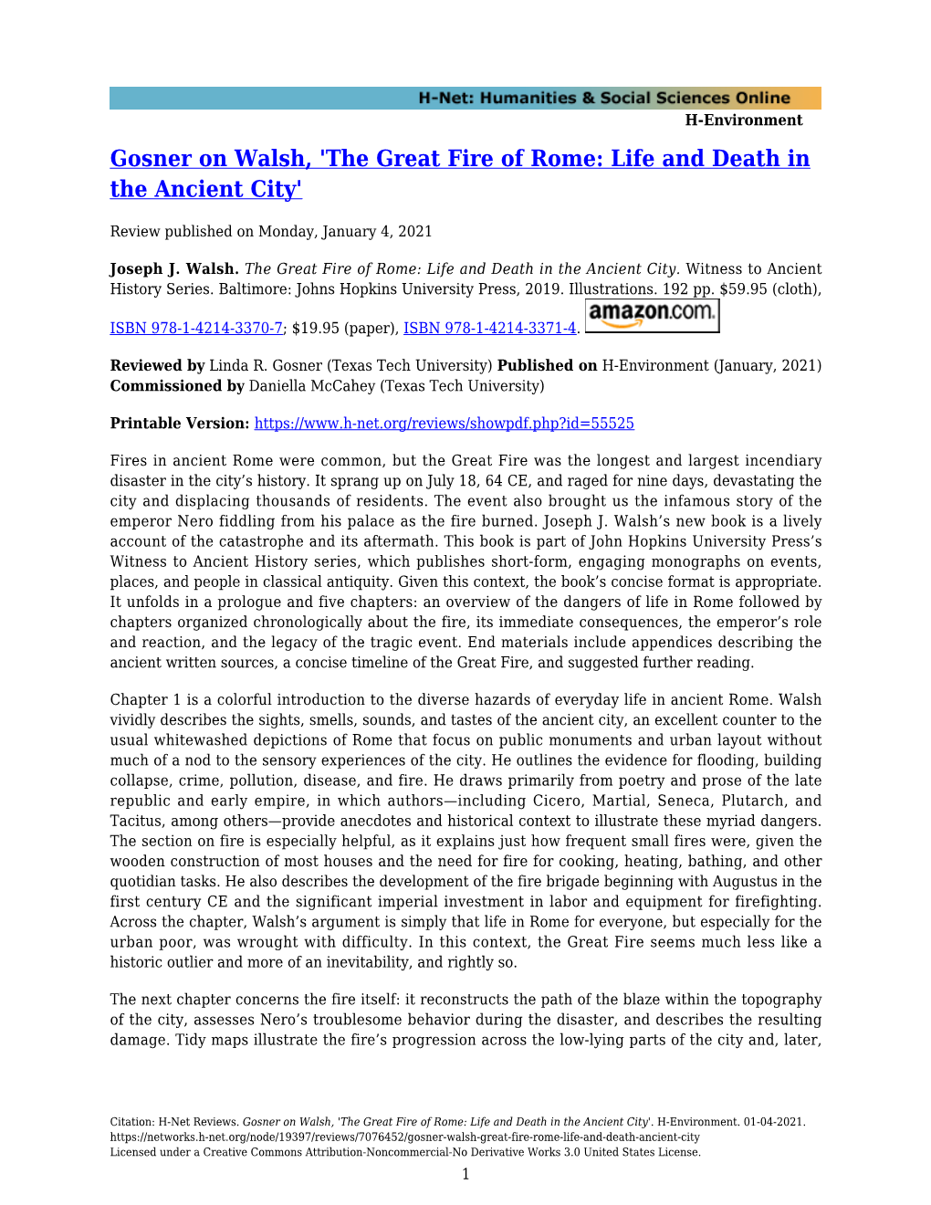 The Great Fire of Rome: Life and Death in the Ancient City'