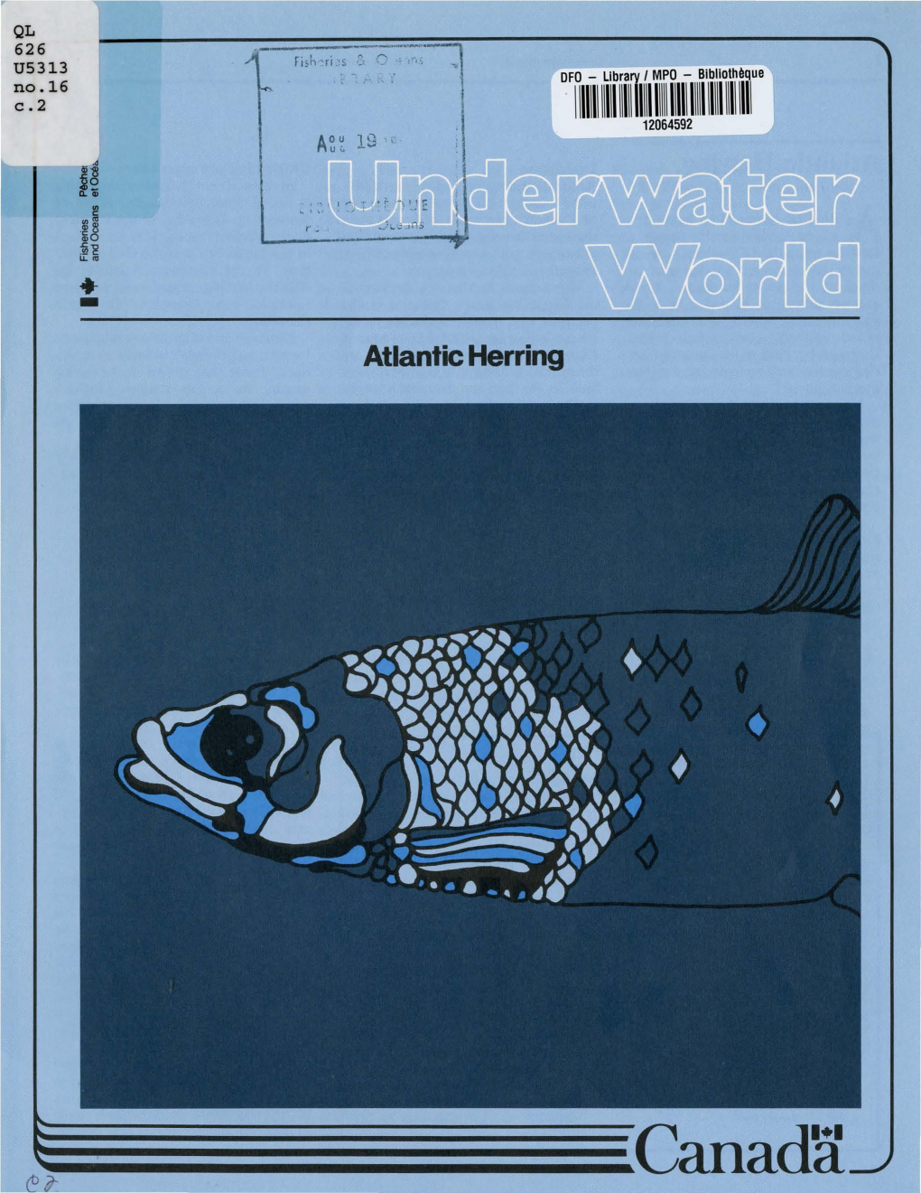 Atlantic Herring 2 Underwater World