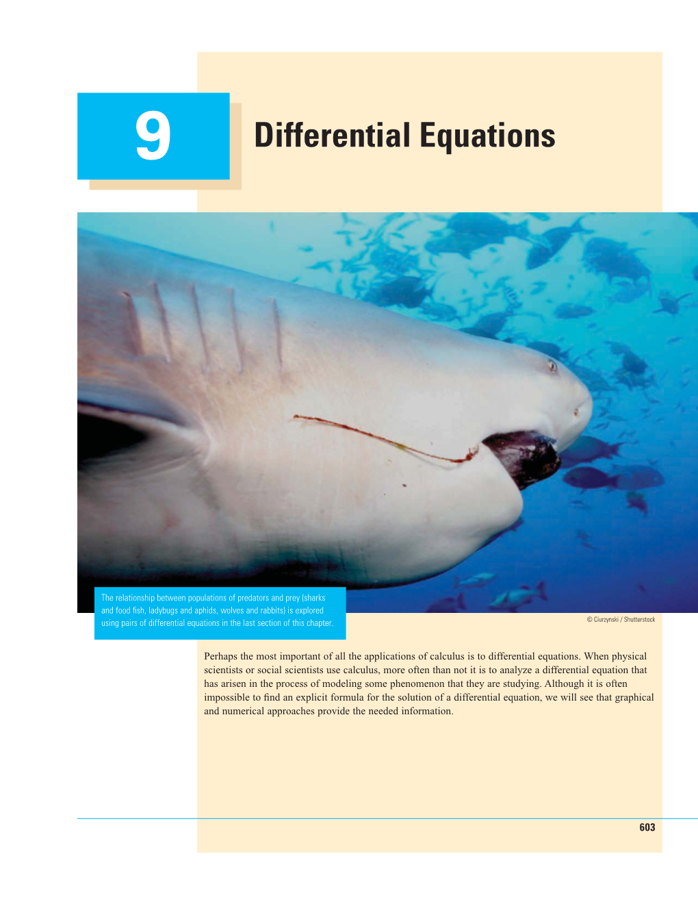 Differential Equations