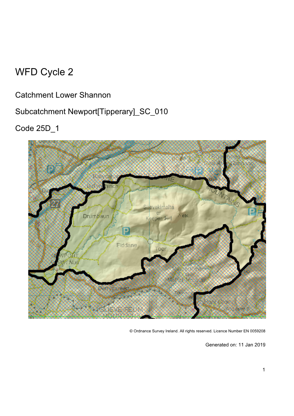 25D 1 Newport[Tipperary] SC 010 Subcatchment Assessment WFD