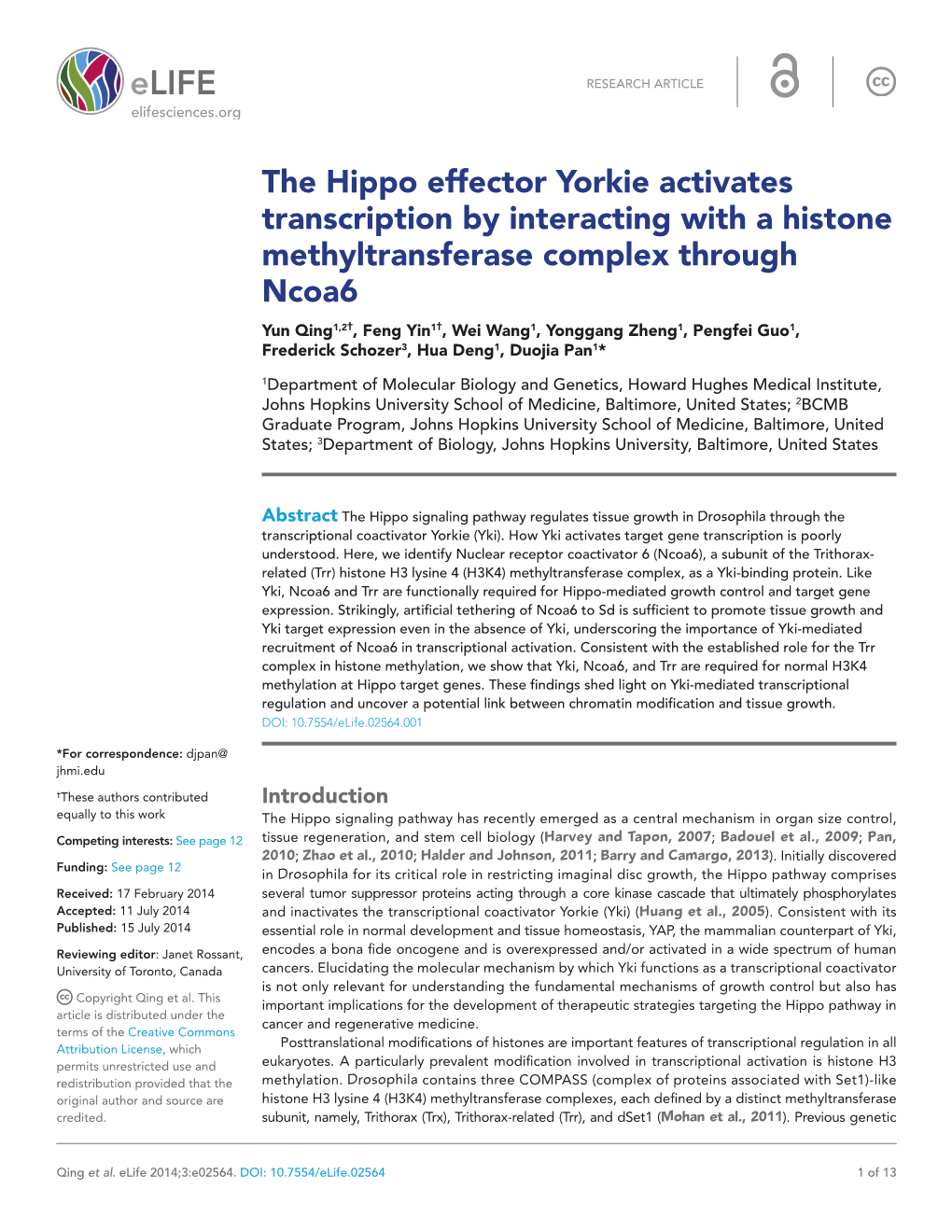 The Hippo Effector Yorkie Activates Transcription by Interacting with A