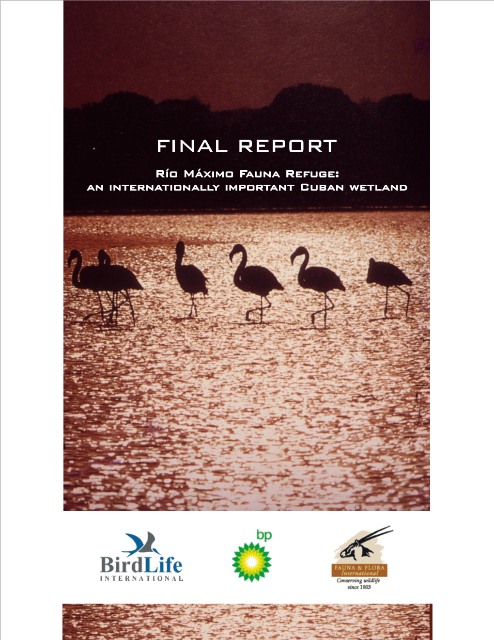 FINAL REPORT Río Máximo Fauna Refuge: an Internationally Important Cuban Wetland