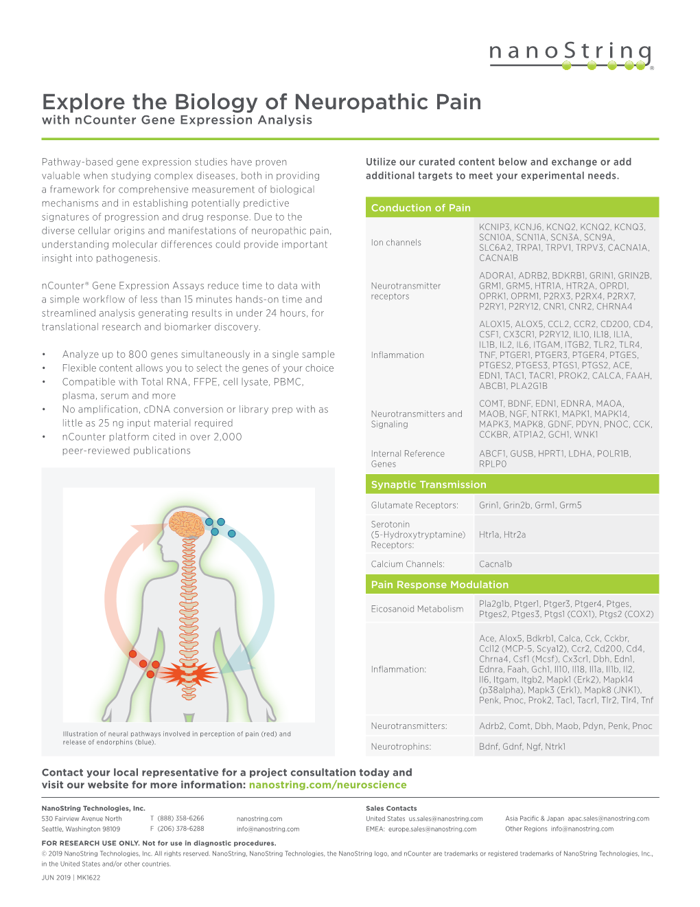 Flyer Explore the Biology of Neuropathic Pain With