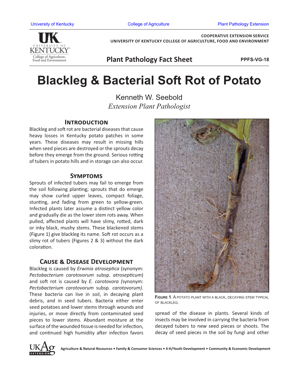 Blackleg & Bacterial Soft Rot of Potato