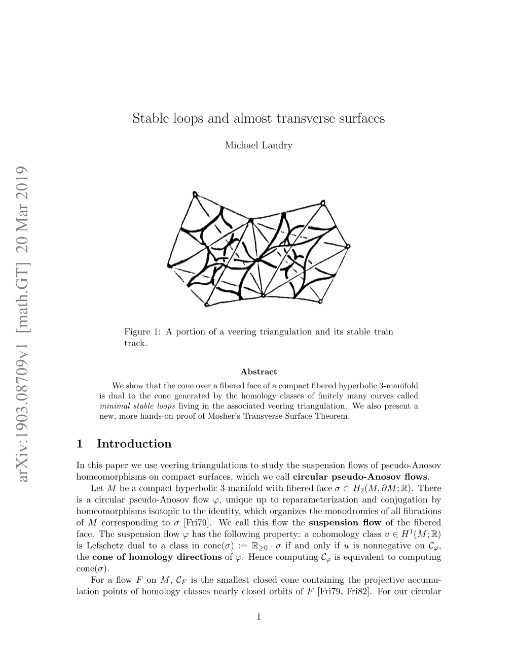 Stable Loops and Almost Transverse Surfaces