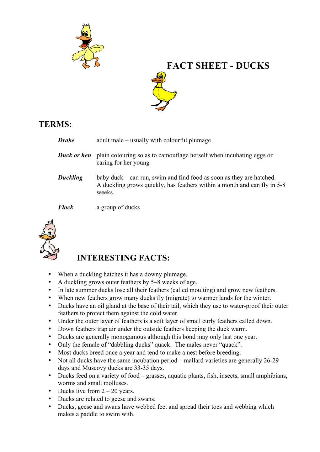 Fact Sheet - Ducks