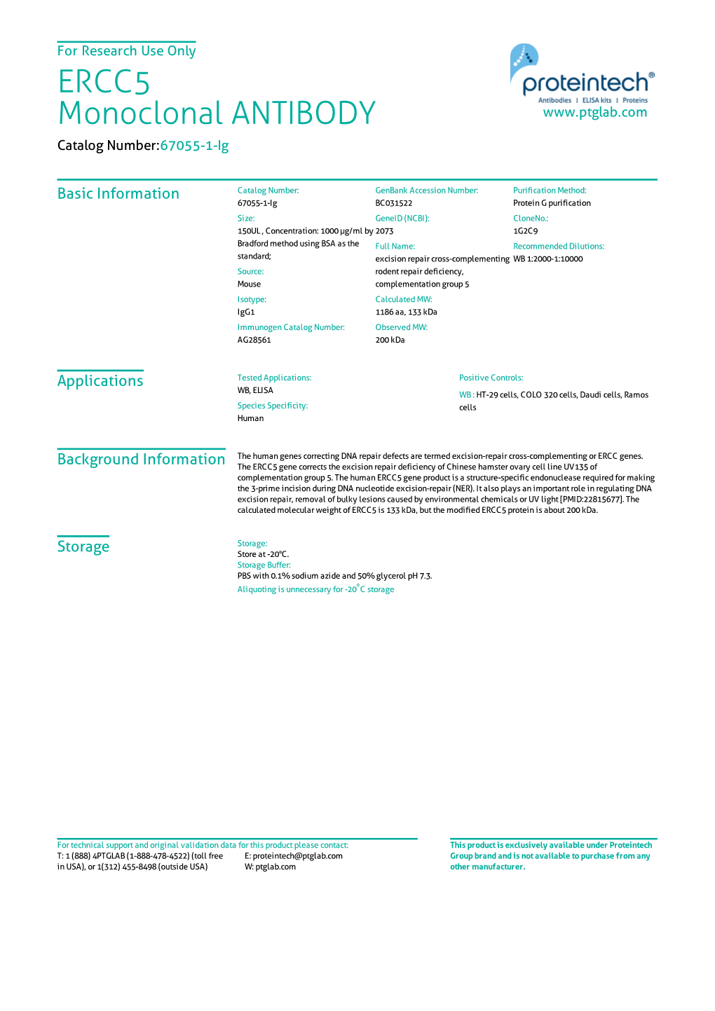 ERCC5 Monoclonal ANTIBODY Catalog Number:67055-1-Ig