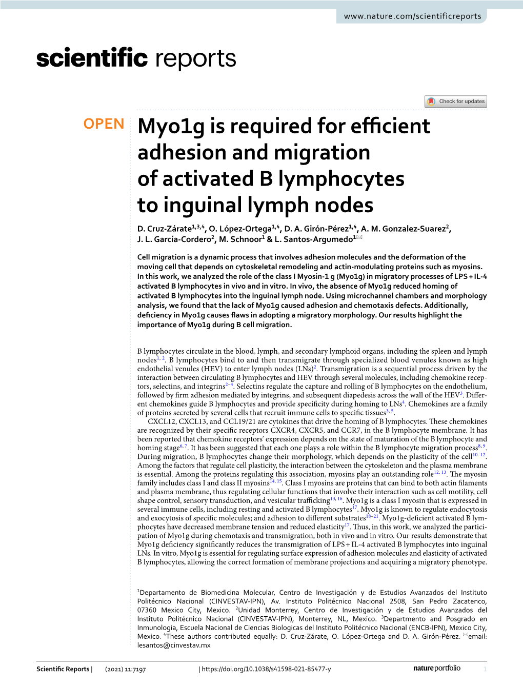 Myo1g Is Required for Efficient Adhesion and Migration of Activated