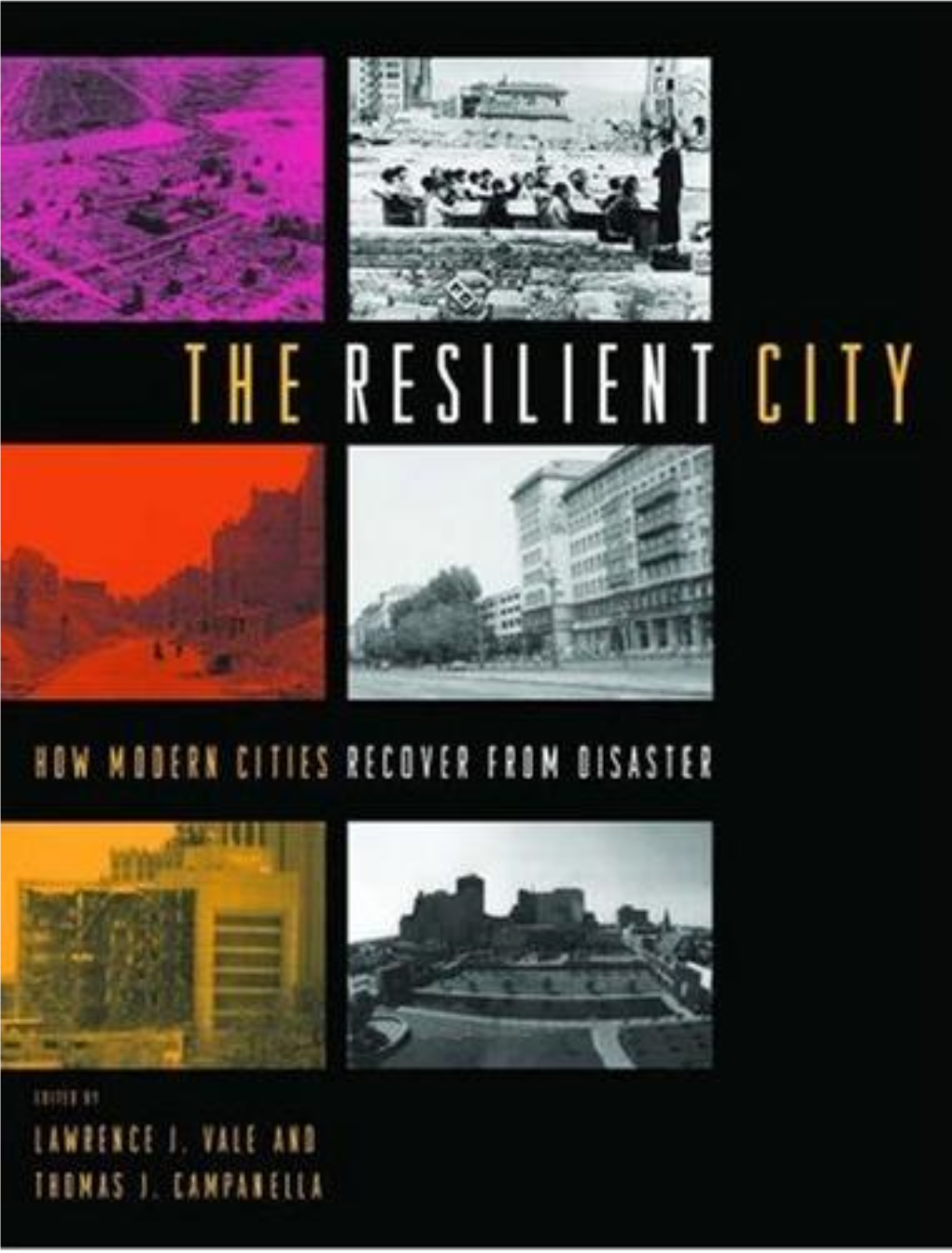 The Resilient City: How Modern Cities Recover from Disaster