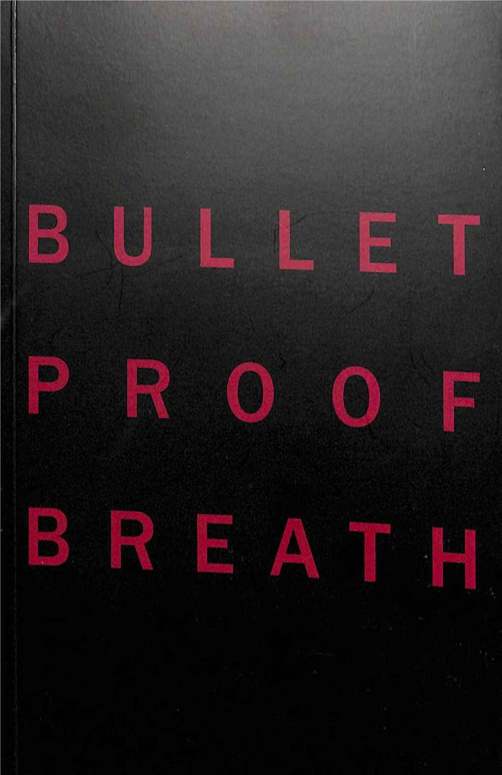 Bullet Proof Breath at the Fabric Workshop and Museum in Philadelphia in 1999 That an Exhibition Began to Take Shape