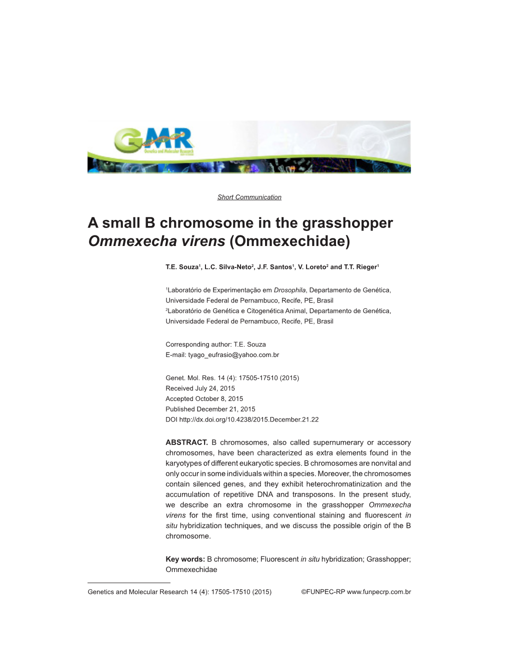 A Small B Chromosome in the Grasshopper Ommexecha Virens (Ommexechidae)