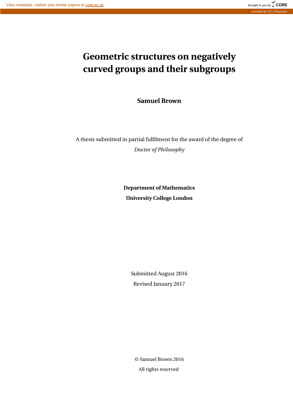 Geometric Structures on Negatively Curved Groups and Their Subgroups