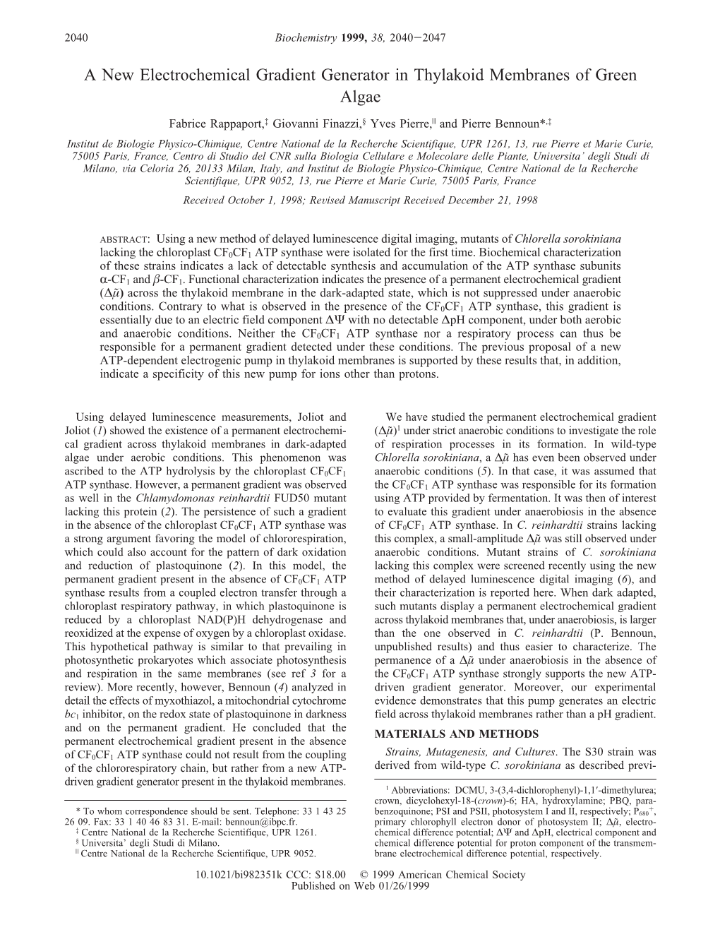 A New Electrochemical Gradient Generator in Thylakoid Membranes