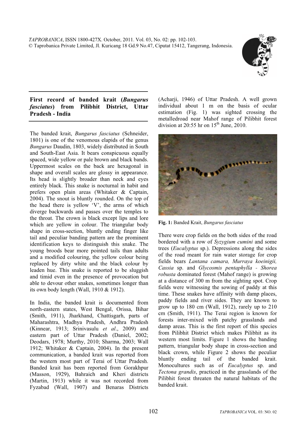 102 First Record of Banded Krait (Bungarus Fasciatus) from Pilibhit