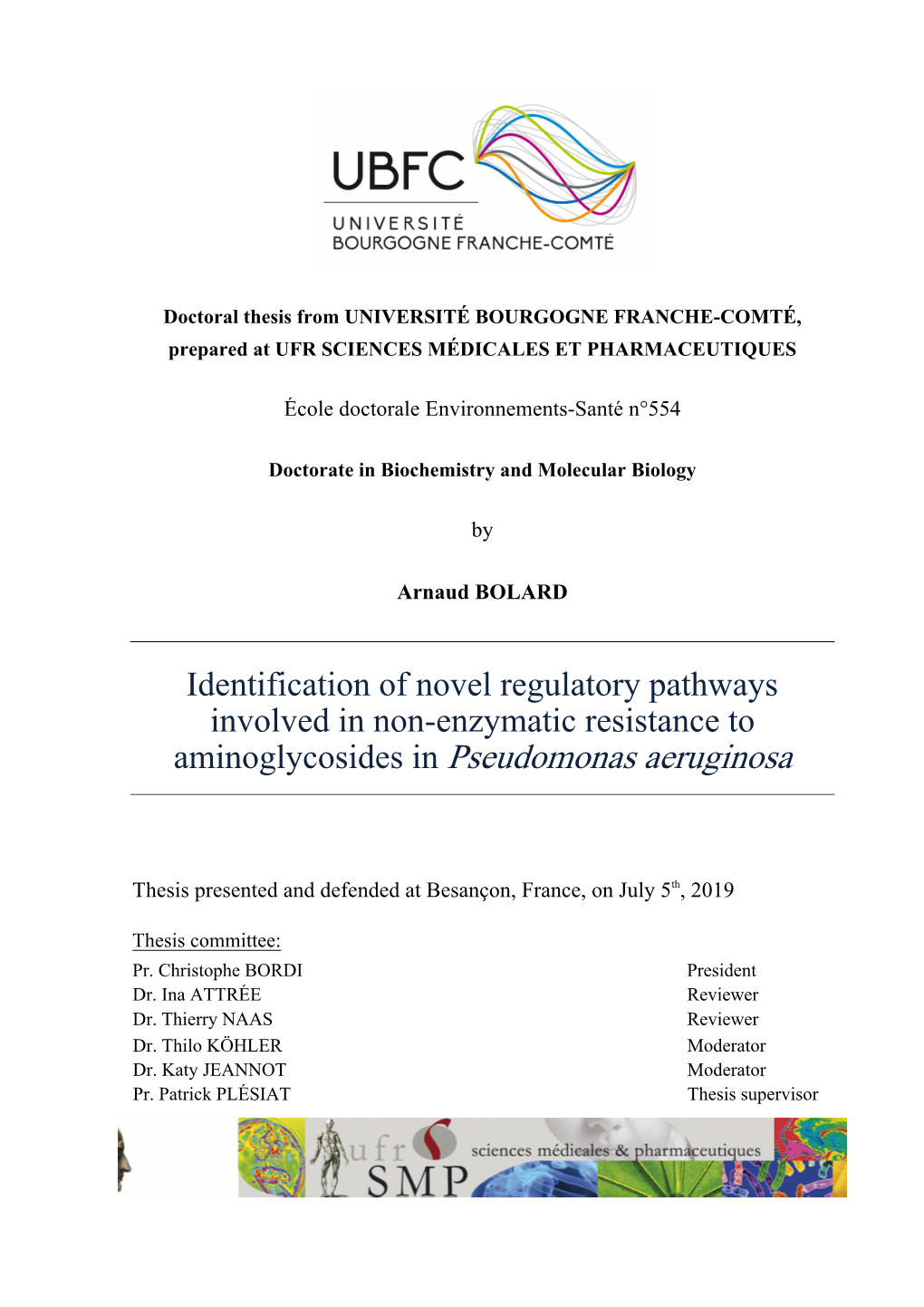 Aminoglycosides in Pseudomonas Aeruginosa