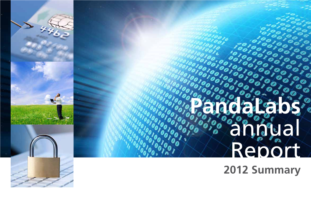 Pandalabs Annual Report 2012 Summary 01 Introduction