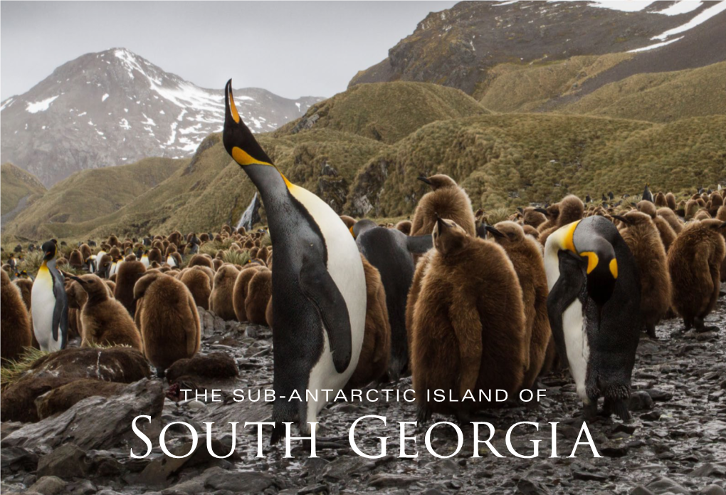 South Georgia Ebook At