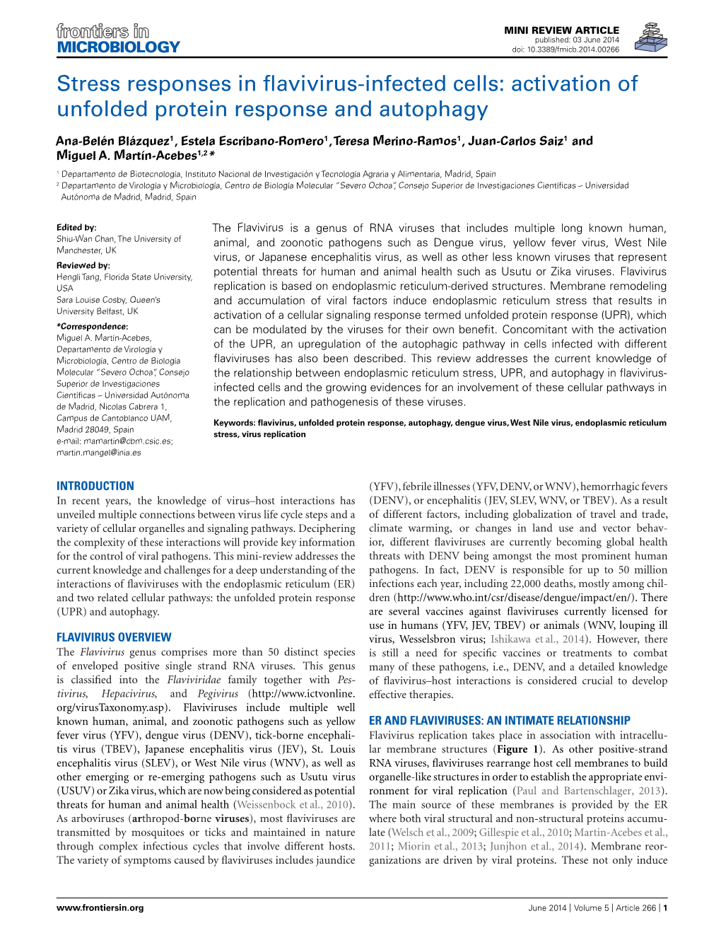 Stress Responses in Flavivirus-Infected Cells: Activation of Unfolded Protein