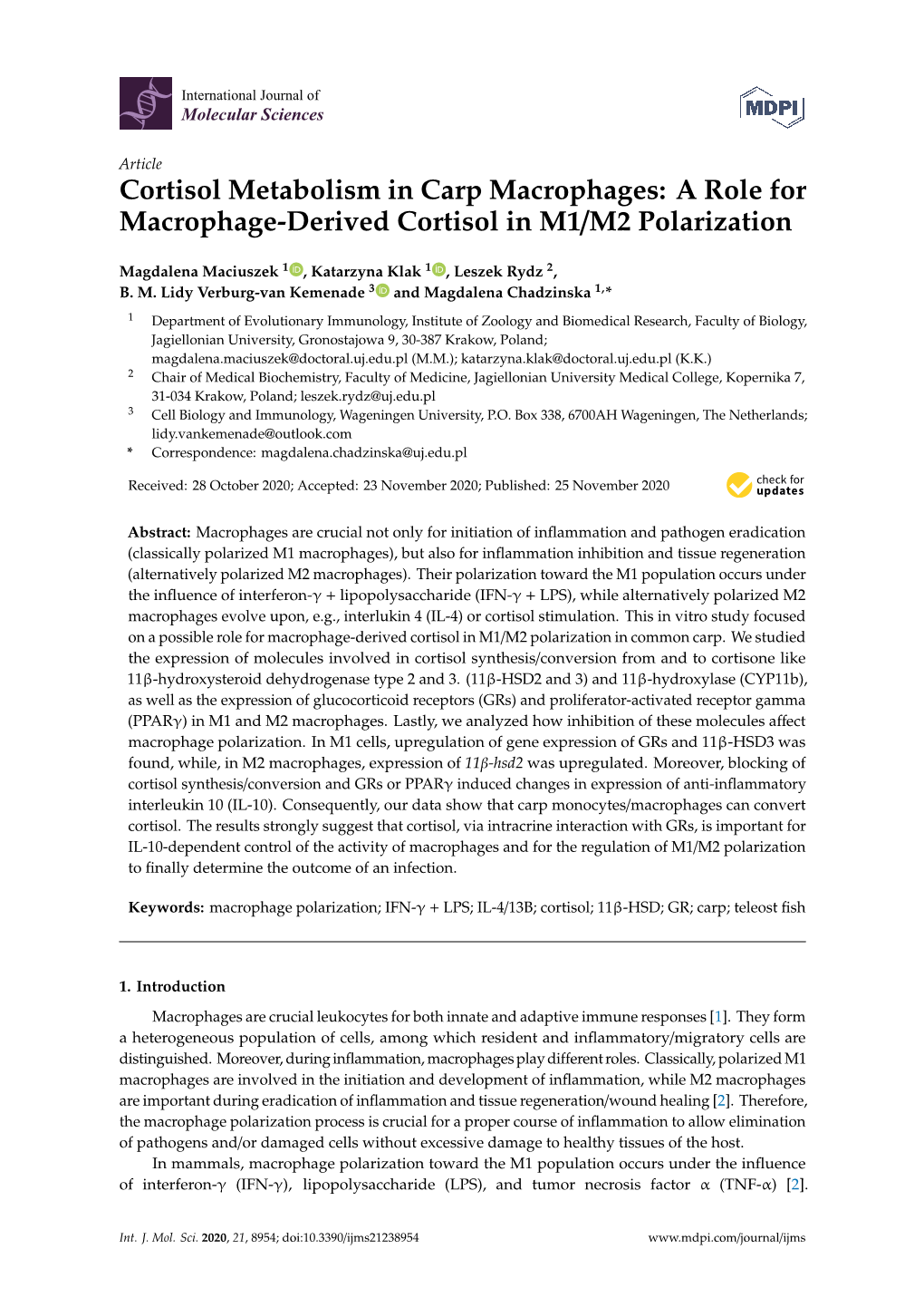 A Role for Macrophage-Derived Cortisol in M1/M2 Polarization