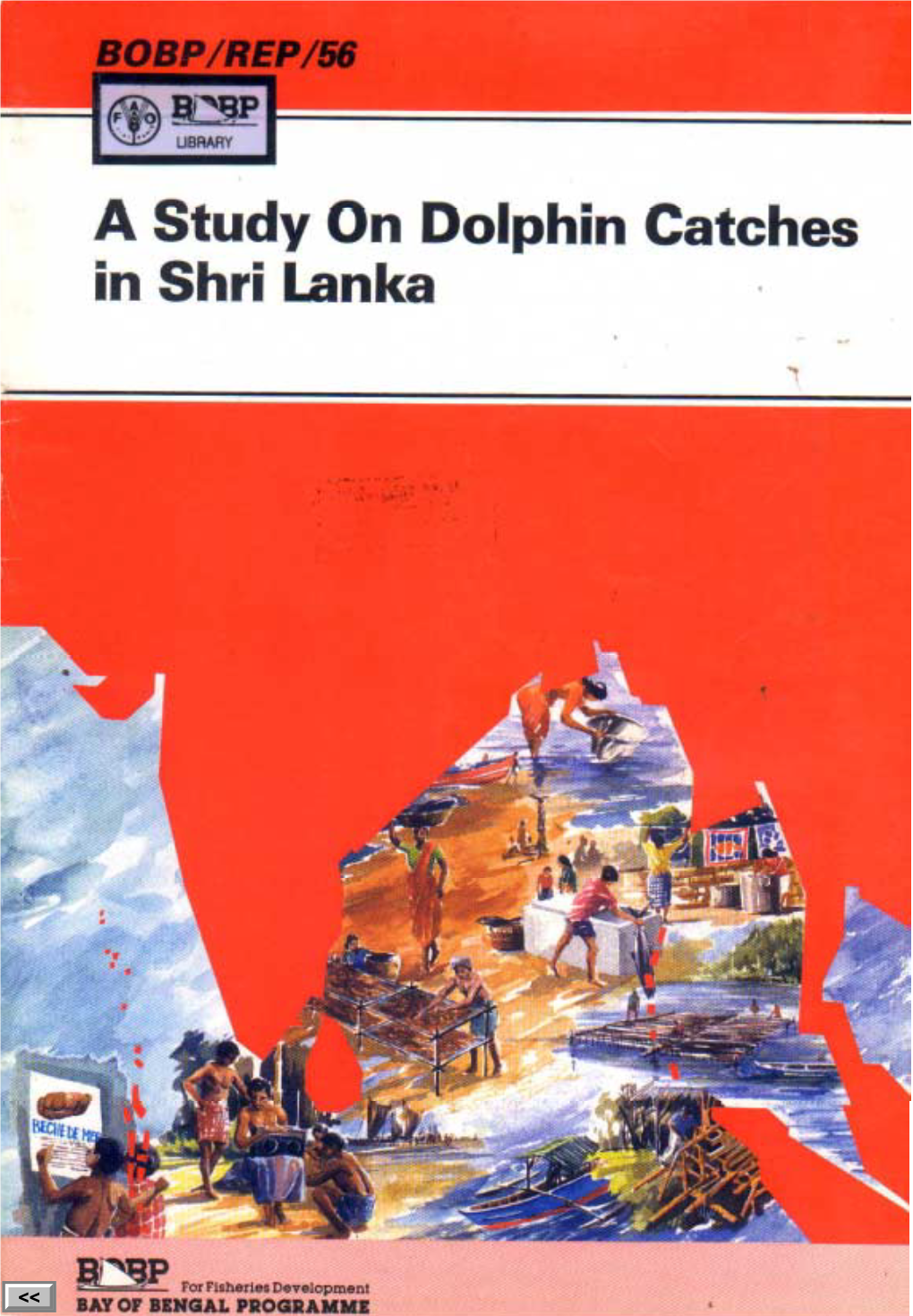 A Study on Dolphin Catches in Shri Lanka BAY of BENGAL PROGRAMME BOBP/REP/56 Small-Scale Fisherfolk Communities GCP/RAS/1 I 8/MUL