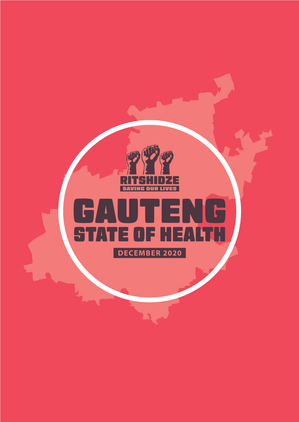 Gauteng: State of Health Report