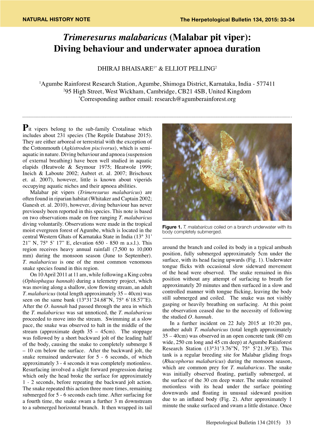 Trimeresurus Malabaricus (Malabar Pit Viper): Diving Behaviour and Underwater Apnoea Duration