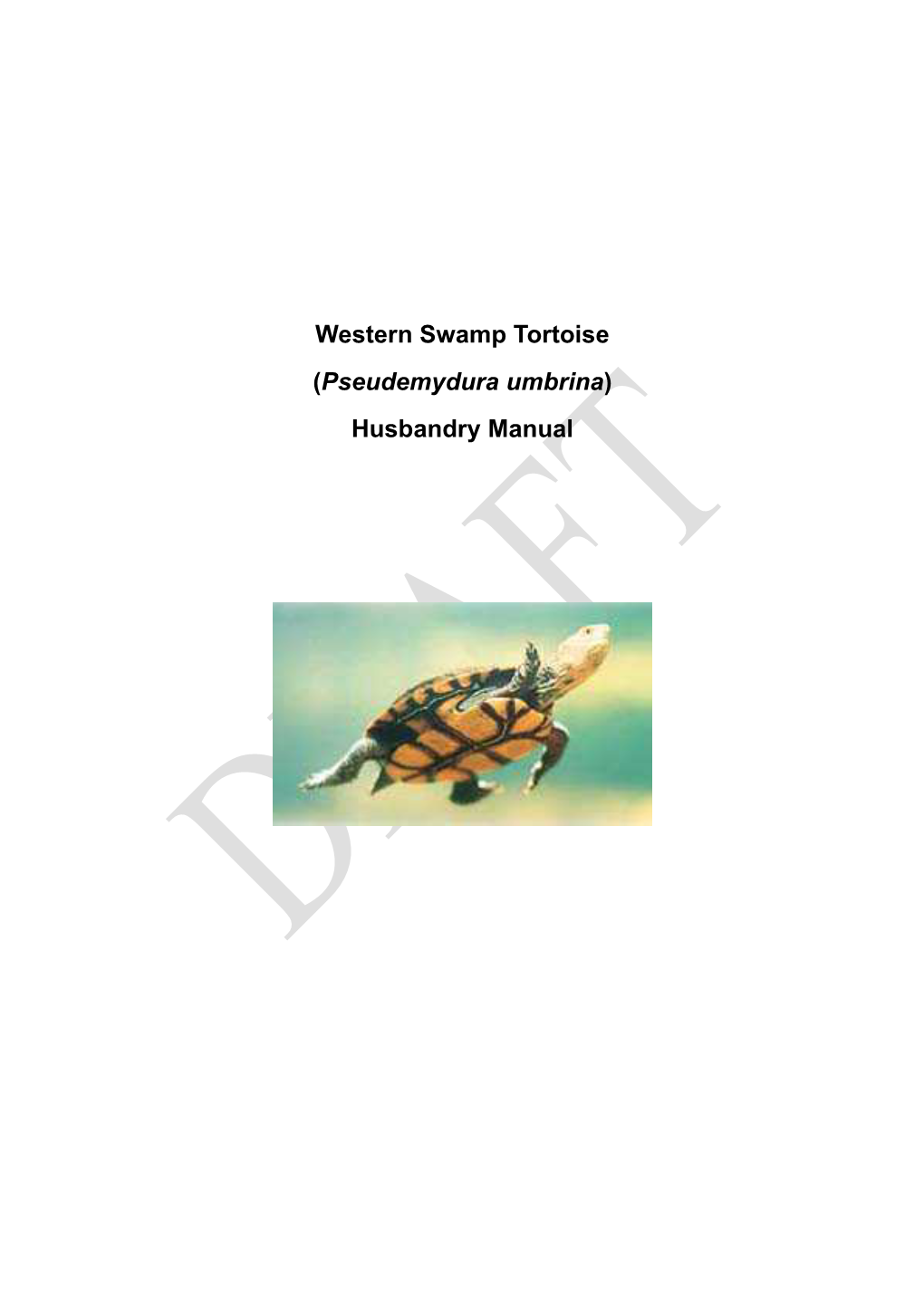 Western Swamp Tortoise (Pseudemydura Umbrina) Husbandry Manual